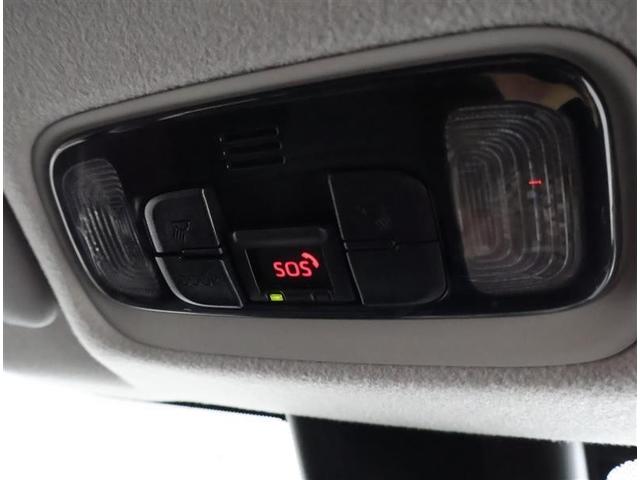 �e���}�e�B�N�X�ƘA�������܂��I