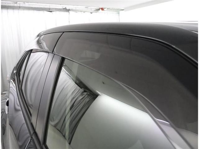 �T�C�h�o�C�U�[�t���ŉJ�̓��ł����S�I