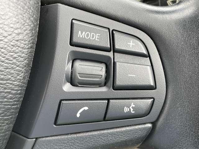 X3 xDrive 20i Mスポーツパッケージ サンルーフ/純正HDDナビ/フルセグTV/DVD再生/バックカメラ/コンフォートアクセス/HIDヘッドライト/クルーズコントロール/純正18インチアルミ/ハーフレザーシート/前席パワーシート(16枚目)