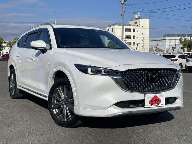 CX-8 XD エクスクルーシブモード I-ACTIVSENSE/360°ビューモニター/マツダコネクトナビ/サンルーフ/パワーバックドア/19インチAW/レザーシート/アドバンストキー/ルーフレール(46枚目)