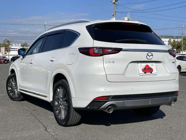 CX-8 XD エクスクルーシブモード I-ACTIVSENSE/360°ビューモニター/マツダコネクトナビ/サンルーフ/パワーバックドア/19インチAW/レザーシート/アドバンストキー/ルーフレール(47枚目)