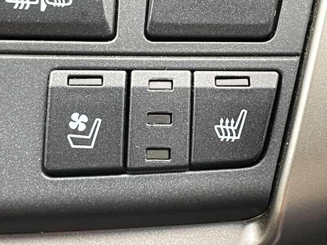 ＮＸ ＮＸ２００ｔ　Ｆスポーツ　本革シート（ヒーター）／ガラスサンルーフ／プリクラッシュセーフティ／三眼ＬＥＤヘッドライト／パワーバックドア／スマートキー／純正ＳＤナビ／ＥＴＣ／フルセグ／ＢＴオーディオ／バック＆サイドカメラ／ＥＴＣ（20枚目）