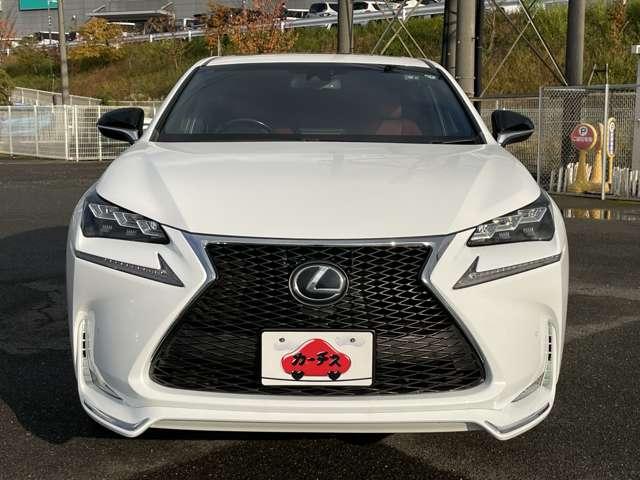 ＮＸ ＮＸ２００ｔ　Ｆスポーツ　本革シート（ヒーター）／ガラスサンルーフ／プリクラッシュセーフティ／三眼ＬＥＤヘッドライト／パワーバックドア／スマートキー／純正ＳＤナビ／ＥＴＣ／フルセグ／ＢＴオーディオ／バック＆サイドカメラ／ＥＴＣ（45枚目）