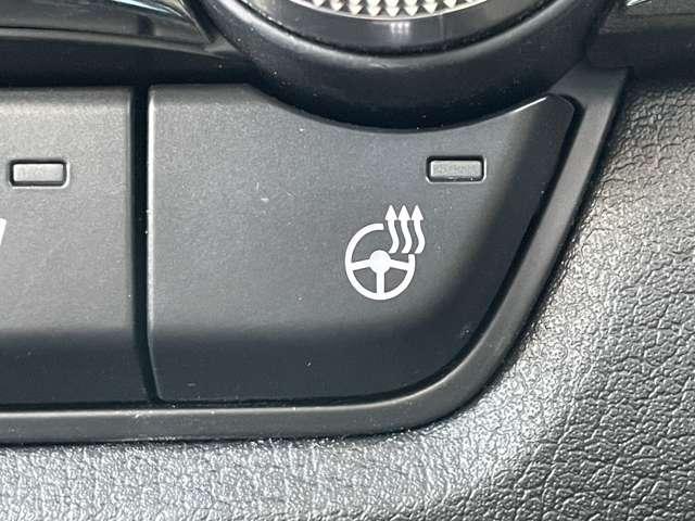 ＣＸ－３０ ＸＤ　Ｌパッケージ　ワンオーナー／本革シート／スマートブレーキサポート／レーダークルーズコントロール／パワーバックドア／マツダコネクトディスプレイ／ＢＴオーディオ／バックカメラ／アドバンストキー／ＬＥＤヘッドライト（14枚目）