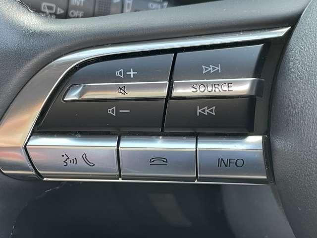 ＣＸ－３０ ＸＤ　Ｌパッケージ　ワンオーナー／本革シート／スマートブレーキサポート／レーダークルーズコントロール／パワーバックドア／マツダコネクトディスプレイ／ＢＴオーディオ／バックカメラ／アドバンストキー／ＬＥＤヘッドライト（32枚目）