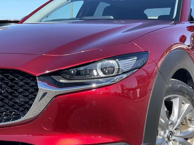 ＣＸ－３０ ＸＤ　Ｌパッケージ　ワンオーナー／本革シート／スマートブレーキサポート／レーダークルーズコントロール／パワーバックドア／マツダコネクトディスプレイ／ＢＴオーディオ／バックカメラ／アドバンストキー／ＬＥＤヘッドライト（42枚目）