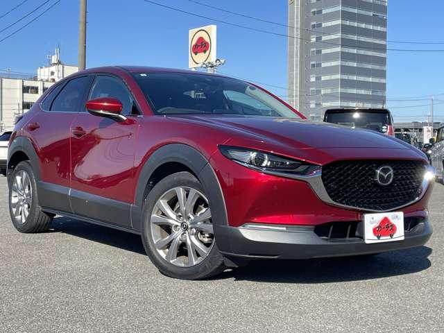ＣＸ－３０ ＸＤ　Ｌパッケージ　ワンオーナー／本革シート／スマートブレーキサポート／レーダークルーズコントロール／パワーバックドア／マツダコネクトディスプレイ／ＢＴオーディオ／バックカメラ／アドバンストキー／ＬＥＤヘッドライト（44枚目）