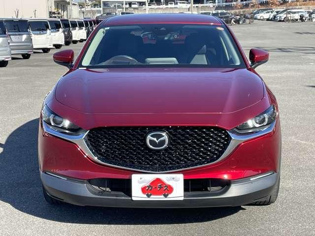 ＣＸ－３０ ＸＤ　Ｌパッケージ　ワンオーナー／本革シート／スマートブレーキサポート／レーダークルーズコントロール／パワーバックドア／マツダコネクトディスプレイ／ＢＴオーディオ／バックカメラ／アドバンストキー／ＬＥＤヘッドライト（46枚目）