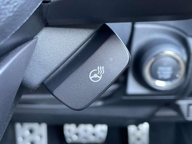 フォレスター アドバンス　アイサイトコアテクノロジー＆セイフティプラス／全車速追従機能付クルーズコントロール／ＲＡＢ／純正ＯＰダイヤトーンサウンドナビ／フルセグ／ＢＴオーディオ／バック＆サイドカメラ／ＬＥＤライト／スマートキー（19枚目）