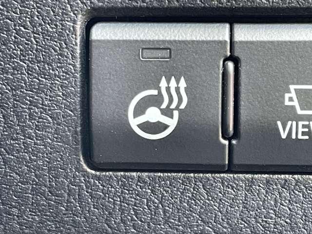 �u�X�e�A�����O�q�[�^�[�v�@�n���h���ɂ��q�[�^�[�t���􊦂������ɂ͕K���i��