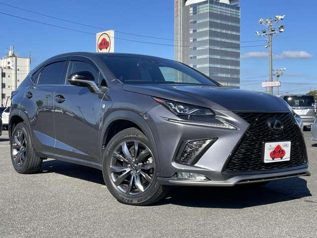 ＮＸ ＮＸ３００　Ｆスポーツ　セーフティシステムプラス／パノラマルーフ／パノラミックビューモニター／三眼ＬＥＤヘッドライト／電動格納リアシート／パワーバックドア／専用シート／ベンチレーション／スマートキー／レーダークルコン（45枚目）