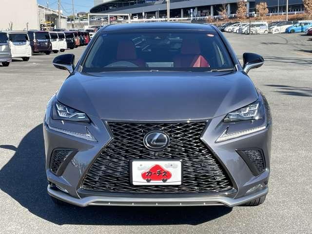 ＮＸ ＮＸ３００　Ｆスポーツ　セーフティシステムプラス／パノラマルーフ／パノラミックビューモニター／三眼ＬＥＤヘッドライト／電動格納リアシート／パワーバックドア／専用シート／ベンチレーション／スマートキー／レーダークルコン（47枚目）