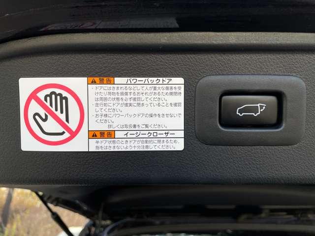 ヴェルファイア ２．５Ｚ　Ａエディション　ゴールデンアイズ　ＴＲＤエアロパーツ＆フロントグリル／テイン車高調／ＷＯＲＫ２０インチアルミ／アルパイン１１インチメモリーナビ／１２．８型フリップダウンモニター／両側パワースライドドア／パワーバックドア／ＬＥＤライト（12枚目）