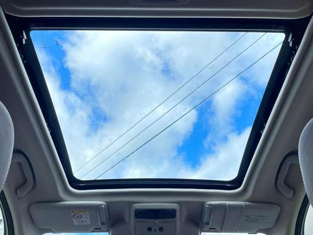 �u�T�����[�t�v�@�@�d���Ŏ�y�ɊJ�ł��A�����ɉ���������o�􂳂�₩�ȕ��ƌ����Ăэ��݂܂���