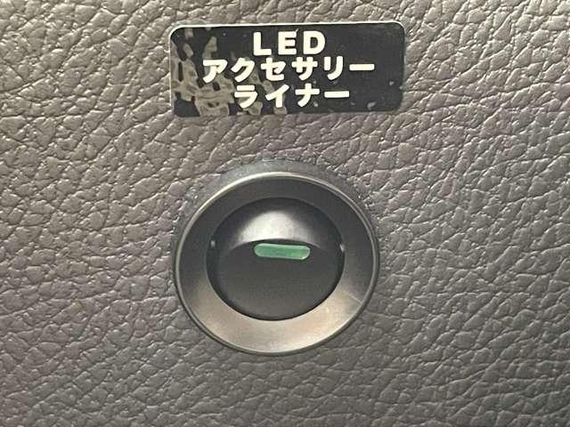 �u�k�d�c�A�N�Z�T���[���C�i�[�v�@���E�̂k�d�c���_�����܂���