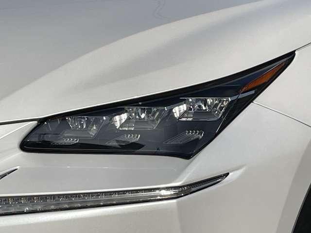 �u�R��k�d�c�w�b�h���C�g�v�@�����_�C�I�[�h�i�k�d�c�j�������Ƃ���w�b�h���C�g���_�����ďu���ɍő���ʂɂȂ�Ƃ��������̗ǂ����k�d�c�̗D�ꂽ�����ł���