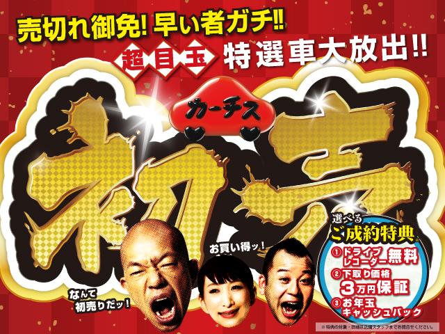 スタイルG SAII 衝突軽減ブレーキ/ナビ・TV・Bカメラ/LEDライト/1オーナー/禁煙車(2枚目)