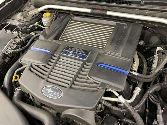 �J�^���O�l�R�O�O�n�́I�e�`�Q�O�^�[�{�G���W���I