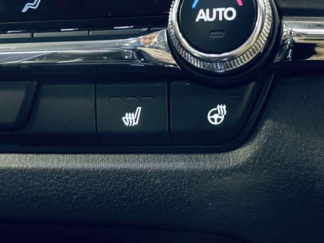 ＣＸ－３０ ＸＤ　ツーリング　コマンダーコントロール付マツダコネクト！フルセグＴＶ！ＢＴ！３６０°モニター！Ｉ－ＡＣＴＩＶＳＥＮＳＥ！Ｉ－ＳＴＯＰ！Ｐバックドア！純正１８インチＡＷ！シートヒーター！Ｄ席パワーシート！禁煙車！（15枚目）