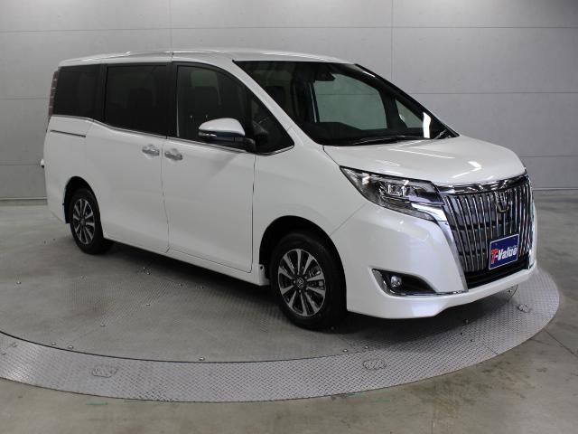 Gi 登録済未使用車 SDナビ TSS-C(5枚目)