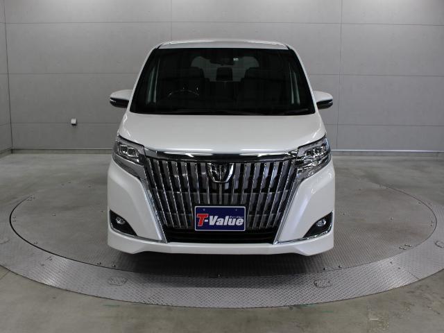 Gi 登録済未使用車 SDナビ TSS-C(6枚目)