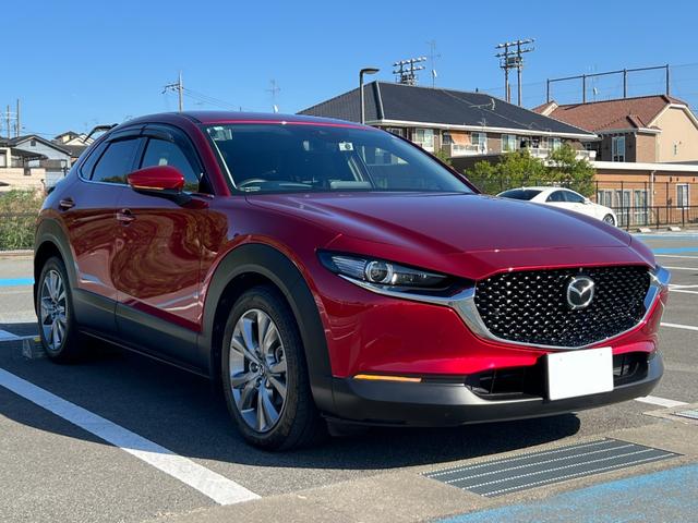 ＣＸ－３０ ＸＤ　プロアクティブ　ツーリングセレクション　３６０°セーフティパッケージ・ボーズサウンドシステム・全周囲カメラ・シートヒーター・ハンドルヒーター・スマートブレーキサポート・レーダークルーズ・パワーバックドア・衝突被害軽減システム・レーンアシスト（16枚目）