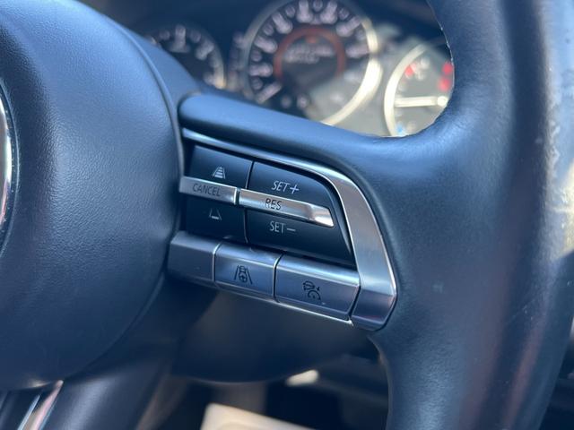 ＣＸ－３０ ＸＤ　プロアクティブ　ツーリングセレクション　３６０°セーフティパッケージ・ボーズサウンドシステム・全周囲カメラ・シートヒーター・ハンドルヒーター・スマートブレーキサポート・レーダークルーズ・パワーバックドア・衝突被害軽減システム・レーンアシスト（38枚目）