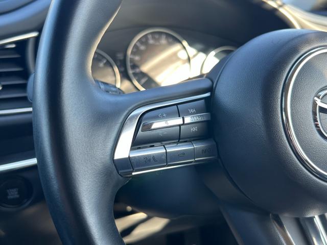 ＣＸ－３０ ＸＤ　プロアクティブ　ツーリングセレクション　３６０°セーフティパッケージ・ボーズサウンドシステム・全周囲カメラ・シートヒーター・ハンドルヒーター・スマートブレーキサポート・レーダークルーズ・パワーバックドア・衝突被害軽減システム・レーンアシスト（39枚目）