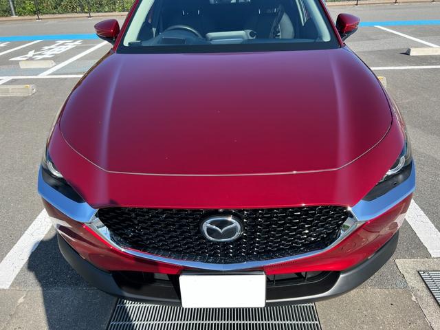 ＣＸ－３０ ＸＤ　プロアクティブ　ツーリングセレクション　３６０°セーフティパッケージ・ボーズサウンドシステム・全周囲カメラ・シートヒーター・ハンドルヒーター・スマートブレーキサポート・レーダークルーズ・パワーバックドア・衝突被害軽減システム・レーンアシスト（43枚目）