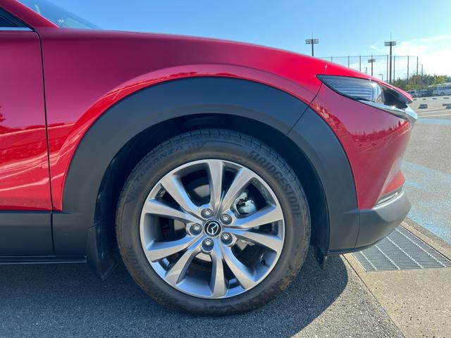 ＣＸ－３０ ＸＤ　プロアクティブ　ツーリングセレクション　３６０°セーフティパッケージ・ボーズサウンドシステム・全周囲カメラ・シートヒーター・ハンドルヒーター・スマートブレーキサポート・レーダークルーズ・パワーバックドア・衝突被害軽減システム・レーンアシスト（45枚目）