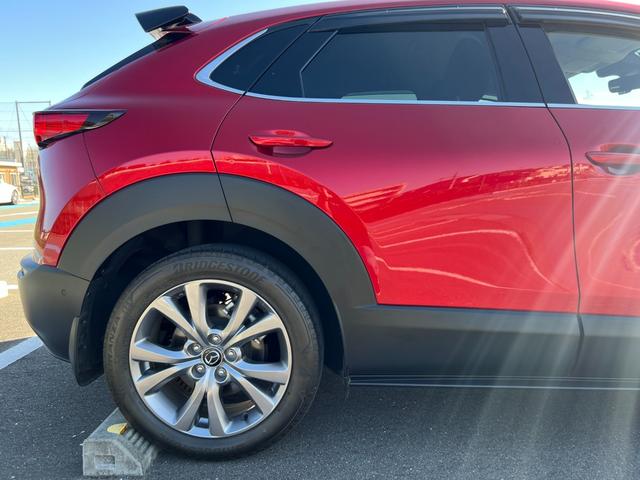ＣＸ－３０ ＸＤ　プロアクティブ　ツーリングセレクション　３６０°セーフティパッケージ・ボーズサウンドシステム・全周囲カメラ・シートヒーター・ハンドルヒーター・スマートブレーキサポート・レーダークルーズ・パワーバックドア・衝突被害軽減システム・レーンアシスト（47枚目）