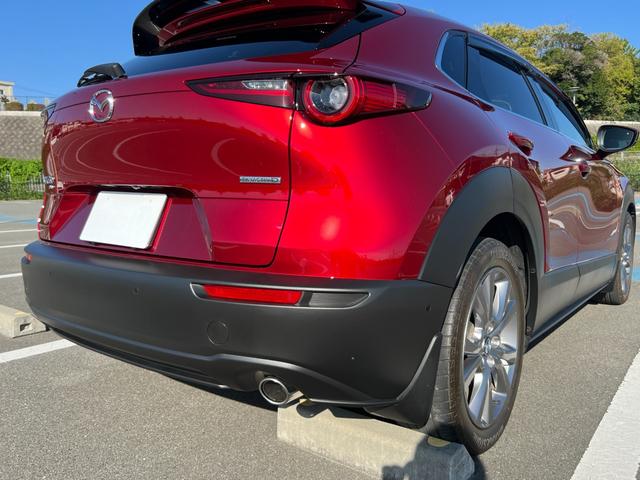 ＣＸ－３０ ＸＤ　プロアクティブ　ツーリングセレクション　３６０°セーフティパッケージ・ボーズサウンドシステム・全周囲カメラ・シートヒーター・ハンドルヒーター・スマートブレーキサポート・レーダークルーズ・パワーバックドア・衝突被害軽減システム・レーンアシスト（48枚目）