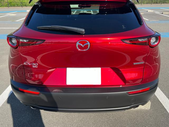 ＣＸ－３０ ＸＤ　プロアクティブ　ツーリングセレクション　３６０°セーフティパッケージ・ボーズサウンドシステム・全周囲カメラ・シートヒーター・ハンドルヒーター・スマートブレーキサポート・レーダークルーズ・パワーバックドア・衝突被害軽減システム・レーンアシスト（49枚目）
