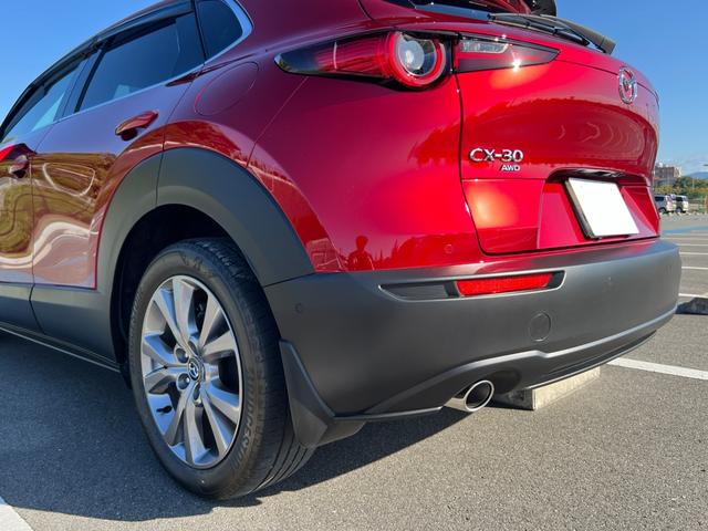 ＣＸ－３０ ＸＤ　プロアクティブ　ツーリングセレクション　３６０°セーフティパッケージ・ボーズサウンドシステム・全周囲カメラ・シートヒーター・ハンドルヒーター・スマートブレーキサポート・レーダークルーズ・パワーバックドア・衝突被害軽減システム・レーンアシスト（51枚目）