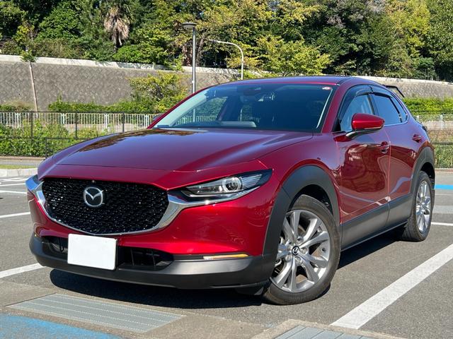 ＣＸ－３０ ＸＤ　プロアクティブ　ツーリングセレクション　３６０°セーフティパッケージ・ボーズサウンドシステム・全周囲カメラ・シートヒーター・ハンドルヒーター・スマートブレーキサポート・レーダークルーズ・パワーバックドア・衝突被害軽減システム・レーンアシスト（57枚目）