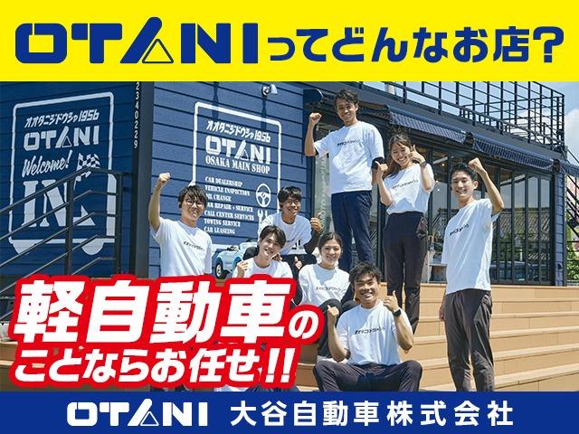 デイズ Gターボプロパイロットエディション 純正ナビ・ETC・バックカメラ・コーナーセンサー・ふらつき警報 アルミホイール フォグランプ オートライト(54枚目)