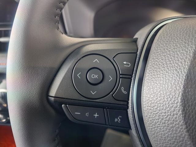 ＲＡＶ４ ハイブリッドアドベンチャー　４ＷＤ　ハンズフリーパワーバック・デジタルインナーミラー・電動パーキング・クルーズコントロール　パワーシート　シートヒーター　衝突被害軽減システム（32枚目）