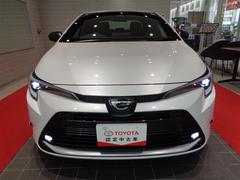 �������� ���֥�Х��ӡ��������֡��ȥ西ǧ����ż֡��֥饤��ɥ��ݥåȥ�˥������ߥ塼���å��ץ쥤�䡼��³�� 0705634A20260124T002 2