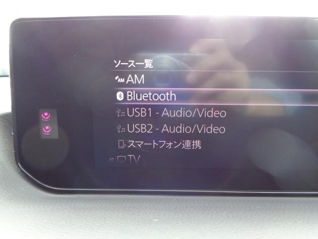 ＭＸ－３０ １００周年特別記念車（34枚目）