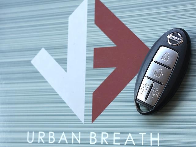 NISSAN ELGRAND 250HIGHWAY STAR PREMIUM