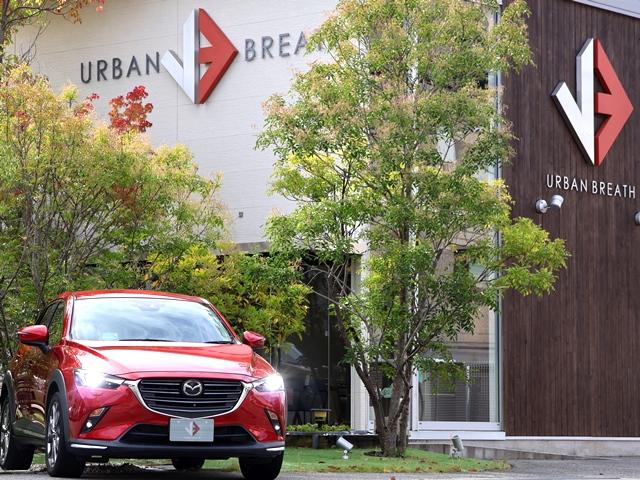 CX-3 20S エクスクルーシブモッズ 4WD 禁煙車 革 BOSE 純正SDナビ アラウンドビューモニター B/S/Fカメラ LEDオートライト 全車速ACC 衝突軽減ブレーキ 障害物センサー HUD BSM ドラレコ スマートキー(35枚目)