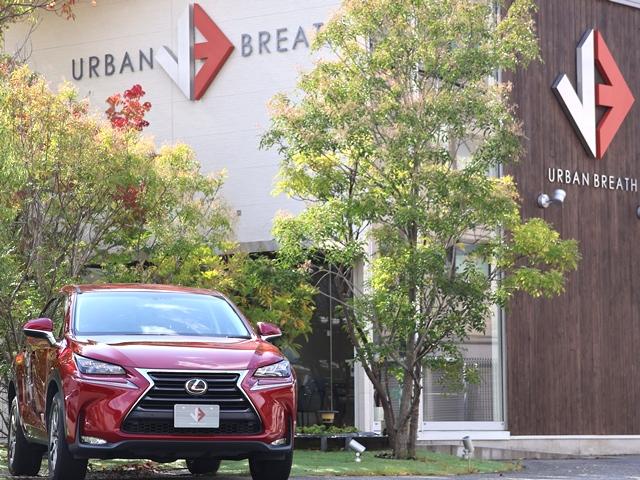 NX NX200t Iパッケージ 赤革 全車速ACC 衝突軽減ブレーキ 障害物センサー 三眼LEDオートライト メーカーナビ/フルセグ バック/サイドカメラ スマートキー/プッシュスタート パワーシート シートヒーター 純正18AW(33枚目)