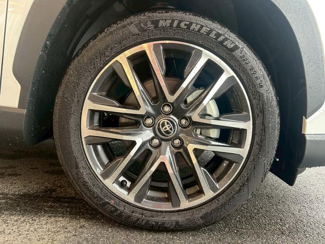 ���w���������������Ԃɂ͕K���_���������s������ɂ��[�ԂƂȂ��Ă���܂��B�O���̔F��w��H��ɂĖ@��_�����s���Ԍ��ɒʉ߂��Ȃ��悤�Ȃ��Ԃ̔̔��͍s���Ă���܂���B���S���Ă��w�������܂��I