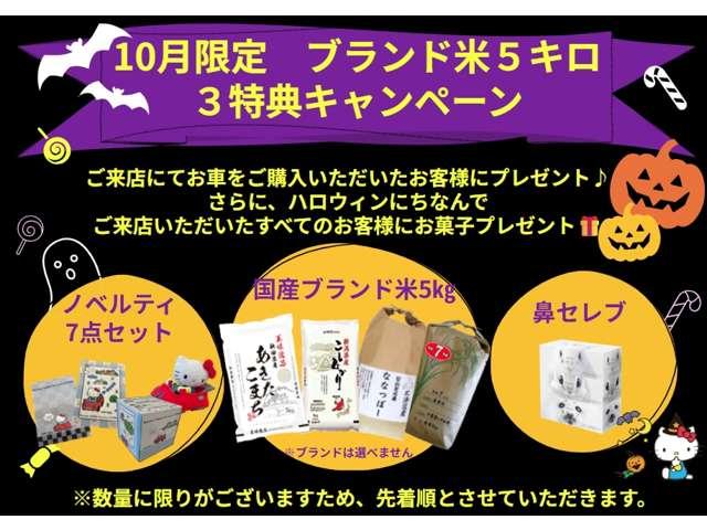 ライズ Z MOP(9inchディスプレイオーディオ/ フルセグTV/パノラミックビューモニター/BSM/リアクロストラフックアラート/アクセサリーコンセント)純正(Tz前後ドラレコ/ETC/マット/バイザー)(57枚目)