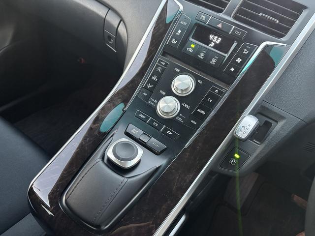 SAI G メ-カ-SDナビTV Rカメラ クルコン シ-トヒ-タ- Pシ-ト LEDHライト コンビハンドル ETC プッシュスタ-ト スマ-トキ-2ケ(36枚目)