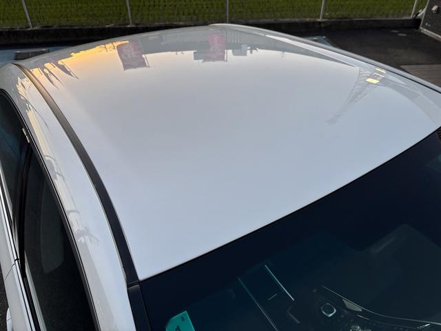 SAI G メ-カ-SDナビTV Rカメラ クルコン シ-トヒ-タ- Pシ-ト LEDHライト コンビハンドル ETC プッシュスタ-ト スマ-トキ-2ケ(42枚目)