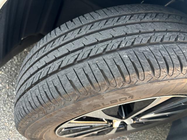 SAI G メ-カ-SDナビTV Rカメラ クルコン シ-トヒ-タ- Pシ-ト LEDHライト コンビハンドル ETC プッシュスタ-ト スマ-トキ-2ケ(53枚目)