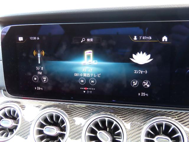 CLSクラス CLS53 4マチック+ エディション1 右ハンドル 赤革シート サンルーフ 限定車 セレナイトグレーマグノ カーボンパッケージ(61枚目)