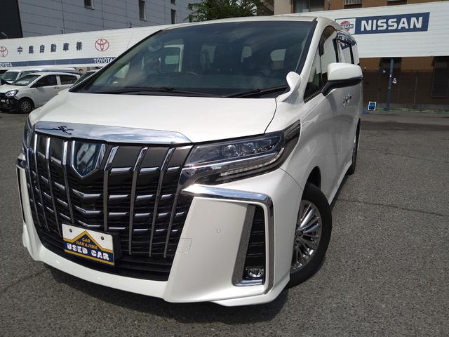 ＳＲ　Ｃパッケージ　４ＷＤ　ドライブレコーダー　ＥＴＣ　バックカメラ　ナビ　ＴＶ　クリアランスソナー　オートクルーズコントロール　レーンアシスト　衝突被害軽減システム　両側電動スライドドア　オートマチックハイビーム（画像12）