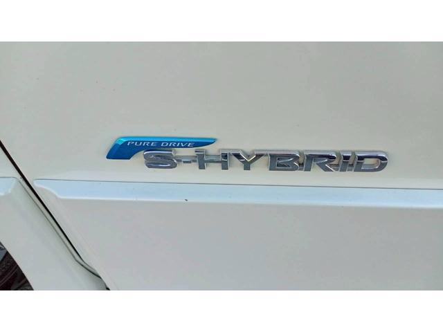 セレナ ハイウェイスターＧ　純正９型ＳＤナビ　両側電動スライドドア　ケンウッド製ルームミラー型前後ドラレコ　後席モニター　クルーズコントロール　プッシュスタート　ＥＴＣ　ＡＣ１００Ｖ　ＨＤＭＩ／ＵＳＢポート　ミラーリング対応（21枚目）